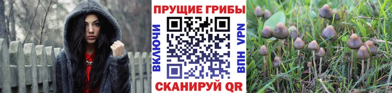 Псилоцибиновые грибы прущие грибы Морозовск